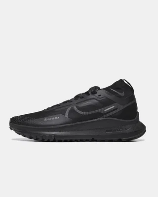 Nike Pegasus Trail 4 GORE-TEX Waterproof Trail Running Shoes 'Black' DJ7926-008 — головне фото товару