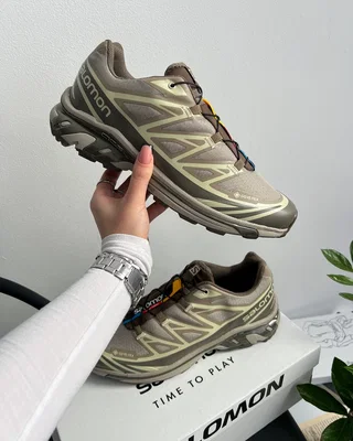 Salomon XT-6 Gore-Tex Vintage Khaki Brow — головне фото товару