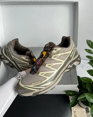 Salomon XT-6 Gore-Tex Vintage Khaki Brow — головне фото товару