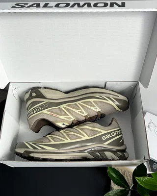 Salomon XT-6 Gore-Tex Vintage Khaki Brow — головне фото товару