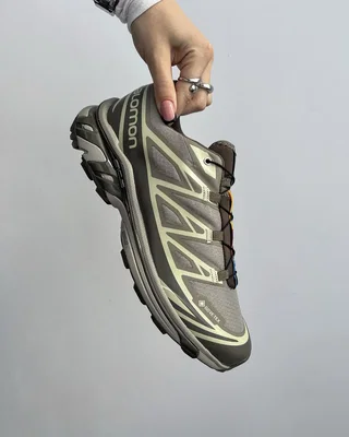 Salomon XT-6 Gore-Tex Vintage Khaki Brow — головне фото товару