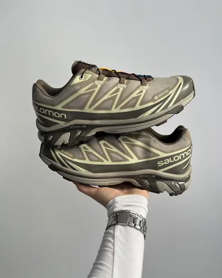 Salomon XT-6 Gore-Tex Vintage Khaki Brow — головне фото товару