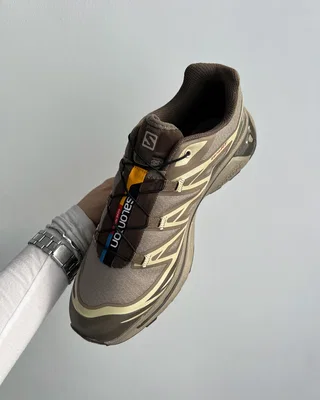 Salomon XT-6 Gore-Tex Vintage Khaki Brow — головне фото товару