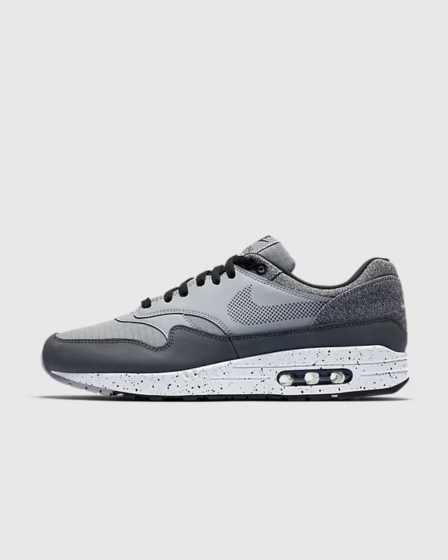 Nike Air Max 1 SE 'Wolf Grey' — головне фото товару
