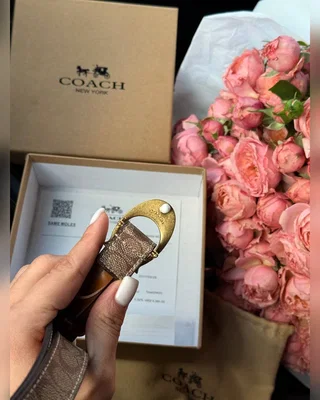 Coach Sculpted C Buckle Belt Beige Gold 100 x 2.5 — головне фото товару