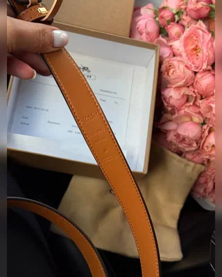 Coach Sculpted C Buckle Belt Beige Gold 100 x 2.5 — головне фото товару
