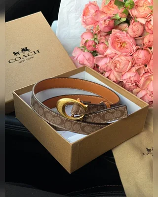 Coach Sculpted C Buckle Belt Beige Gold 100 x 2.5 — головне фото товару