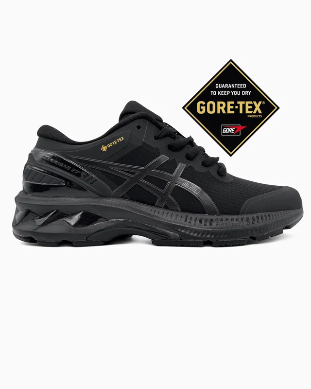 Asics Gel-Kayano 27 Black Gore-Tex — головне фото товару