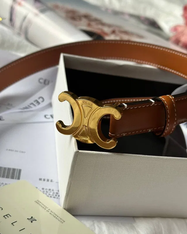 Celine Triomphe Belt Brown/Gold — головне фото товару
