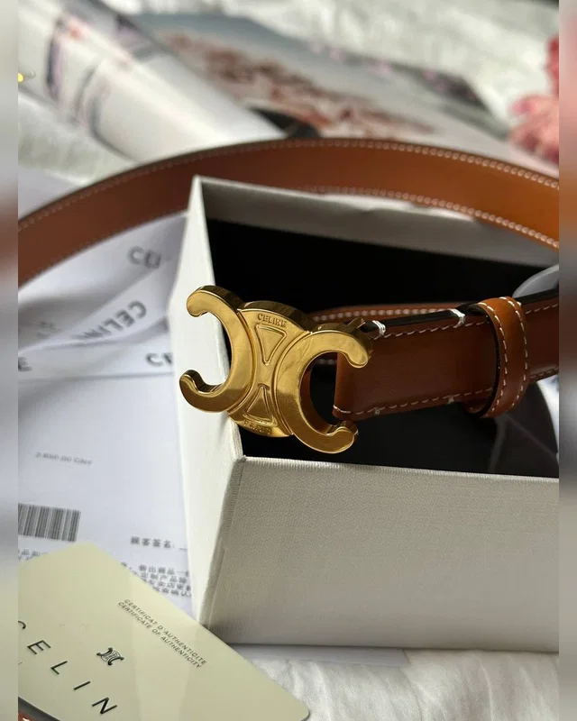Celine Triomphe Belt Brown Gold — головне фото товару