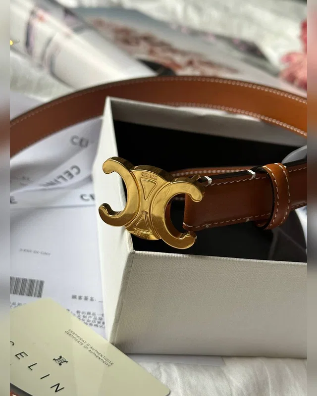 Celine Triomphe Belt Brown/Gold — головне фото товару