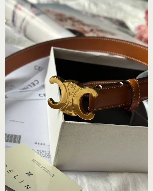 Celine Triomphe Belt Brown/Gold — головне фото товару