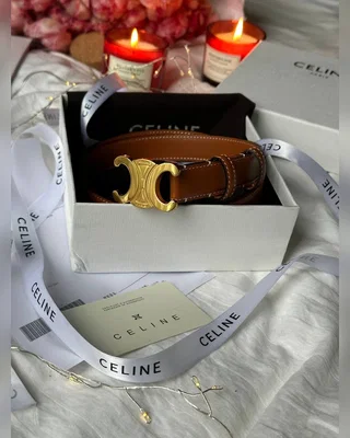 Celine Triomphe Belt Brown Gold — головне фото товару