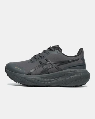 Asics Gel-Kayano 30 Gore-Tex Black-blue — головне фото товару