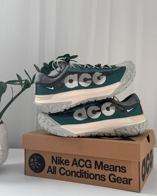 Nike ACG Mountain Fly Low 2 'Bicoastal' DV7903-300 — головне фото товару