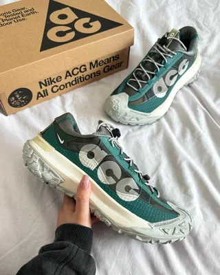 Nike ACG Mountain Fly Low 2 'Bicoastal' DV7903-300 — головне фото товару