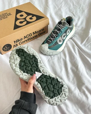 Nike ACG Mountain Fly Low 2 'Bicoastal' DV7903-300 — головне фото товару
