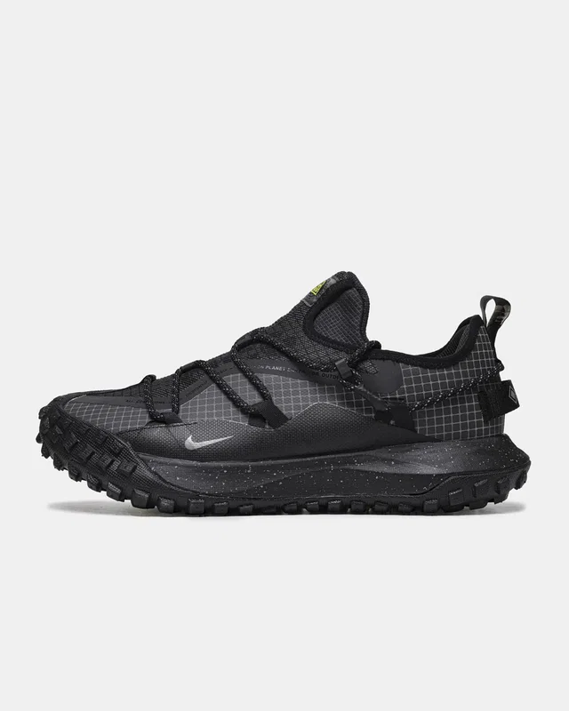 Nike ACG Mountain Fly Low GTX SE 'Dark Smoke Grey' DD2861-002 — головне фото товару