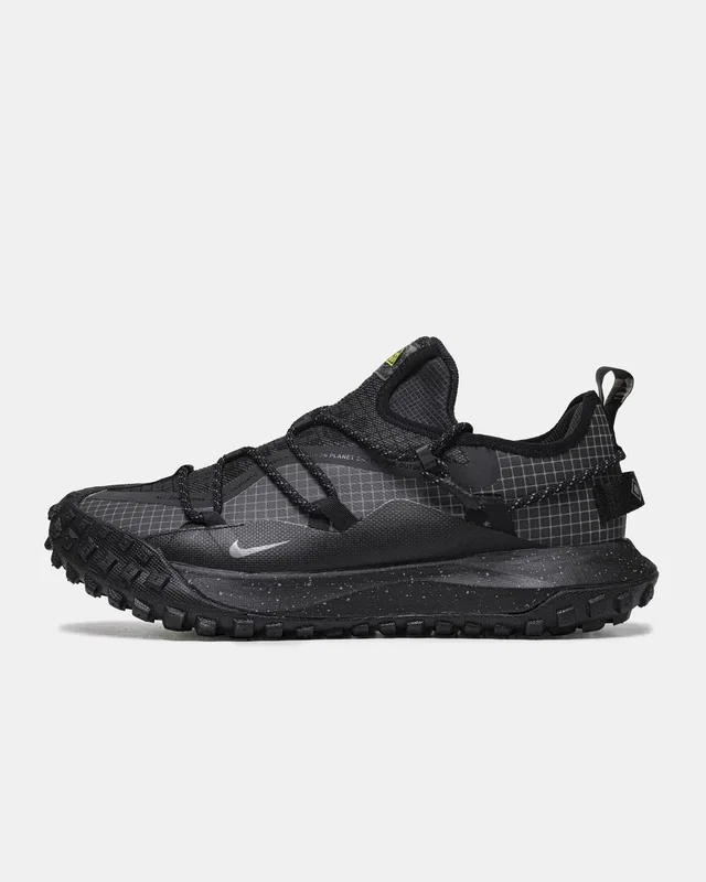 Nike ACG Mountain Fly Low GTX SE 'Dark Smoke Grey' — головне фото товару