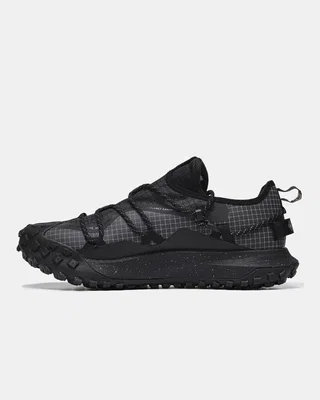 Nike ACG Mountain Fly Low GTX SE 'Dark Smoke Grey' DD2861-002 — головне фото товару