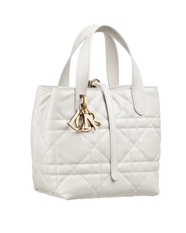Dior Toujours Vertical Nano Tote Bag White — головне фото товару