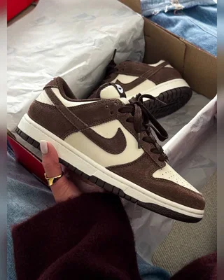 Nike Dunk Low Brown — головне фото товару