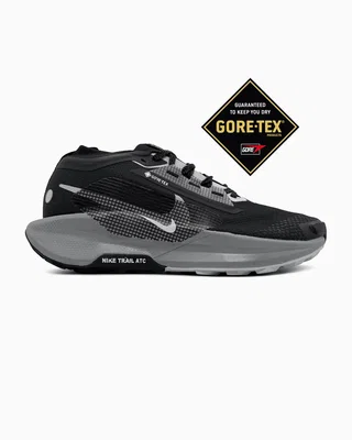 Nike Pegasus Trail 5 Gore Tex Black Crey — головне фото товару