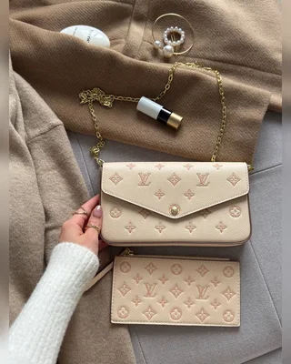 Louis Vuitton Félicie Pochette Bag Bicolor Eden 21 x 11 x 3 — головне фото товару