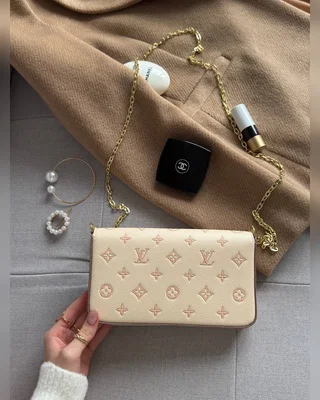 Louis Vuitton Félicie Pochette Bag Bicolor Eden 21 x 11 x 3 — головне фото товару
