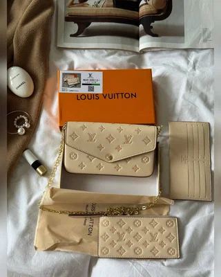 Louis Vuitton Félicie Pochette Bag Bicolor Eden 21 x 11 x 3 — головне фото товару