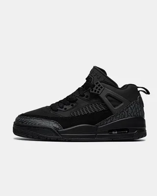 Nike Air Jordan Spizike Low 'Black Cat' — головне фото товару