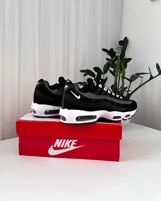 Nike Air Max 95 'Black Pure Platinum' DM0011-009 — головне фото товару
