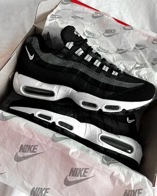Nike Air Max 95 'Black Pure Platinum' DM0011-009 — головне фото товару