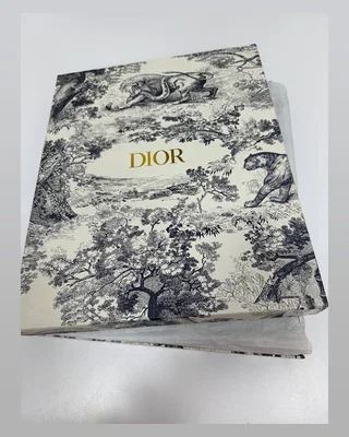 Dior Book Tote Ecru and Blue Dior Oblique Embroidery [оригінальна коробка] 36 х 28 х 13 — головне фото товару