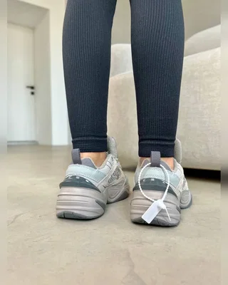 Nike Nk m2k сірі — головне фото товару
