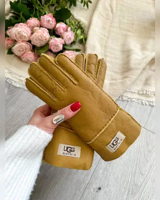 UGG Ginger — головне фото товару