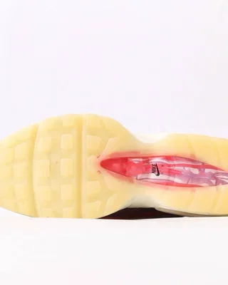 Nike 95 Anatomy — головне фото товару