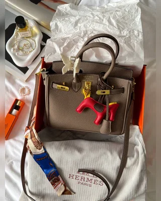 Hermes Hermès Birkin 25 Etoupe Gold 25 x 19 x 12 — головне фото товару