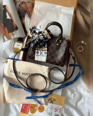 Louis Vuitton Speedy Nano Brown Chess (Коробка магніт) 19 х 13 х 11 — головне фото товару