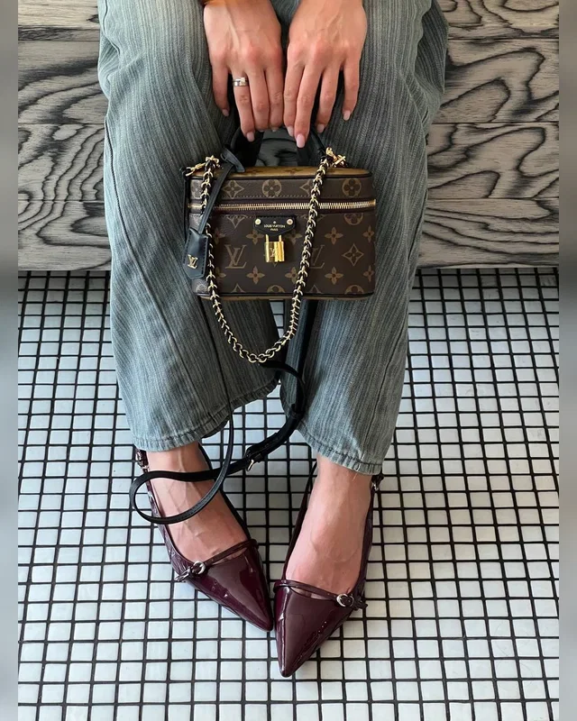 Louis Vuitton Vanity PM Bag Monogram Reverse Coated Canvas Calf [магнітна коробка] 19 x 12 x 6 — головне фото товару