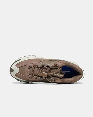 Nike Air Zoom Vomero Roam 'Light Bone Mink Brown' HQ2181-006 — головне фото товару