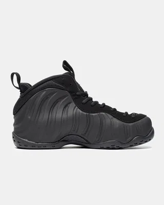 Nike Air Foamposite One 'Anthracite' — головне фото товару