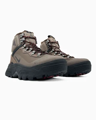 Nike ACG Air Zoom Gaiadome GTX Brown — головне фото товару