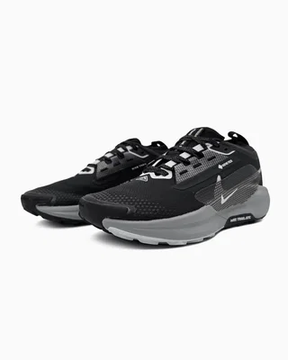 Nike Pegasus Trail 5 Gore Tex Black Crey — головне фото товару