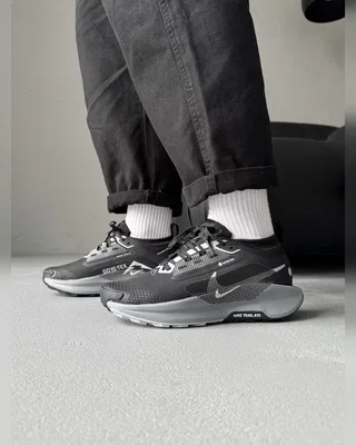 Nike Pegasus Trail 5 Gore Tex Black Crey — головне фото товару