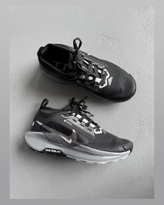 Nike Pegasus Trail 5 Gore Tex Black Crey — головне фото товару