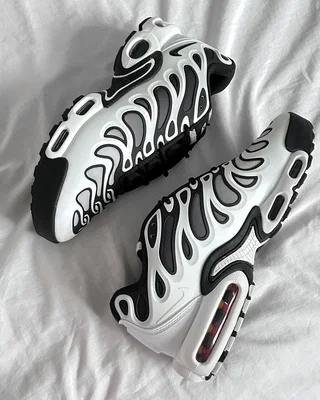 Nike Air Max Plus Drift 'Panda' FV4081-102 — головне фото товару