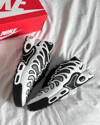 Nike Air Max Plus Drift 'Panda' FV4081-102 — головне фото товару