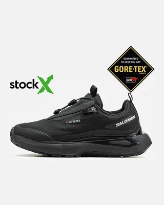Salomon 1698 Salomon Odyssey Gore Tex Термо — головне фото товару