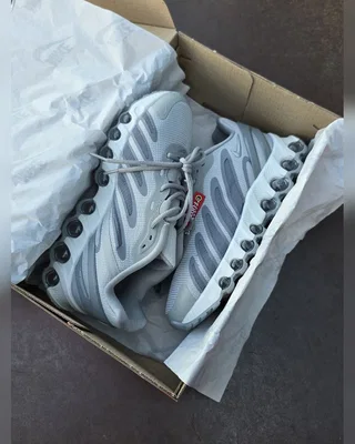 Nike Air Max DN8 • Grey • — головне фото товару